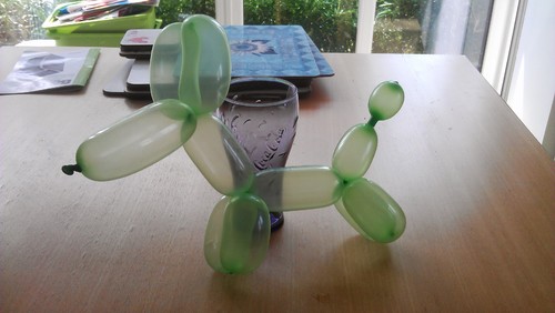 Balloon dog