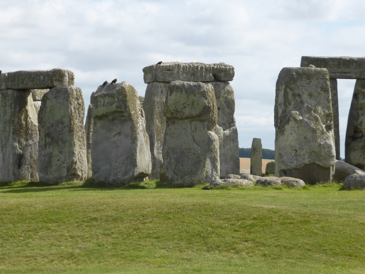 Stonehenge with birds