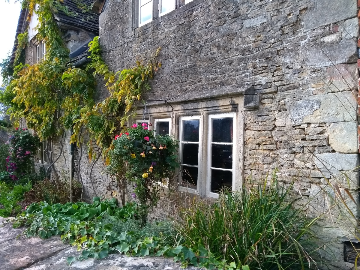 Stone house with lots of greenery