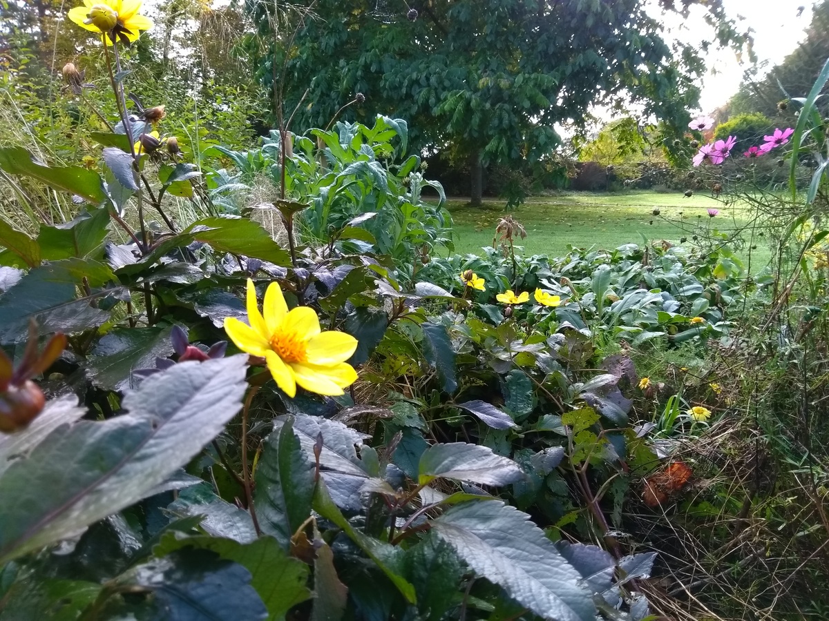 Flowers and greenery