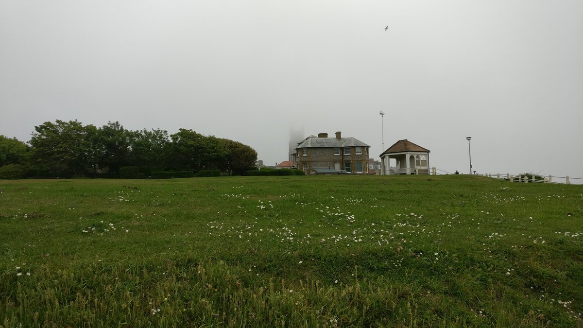 Misty tower and bird