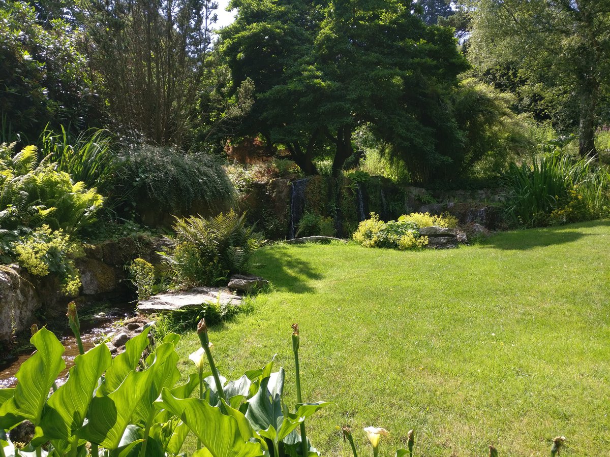 Garden with steam and waterfall