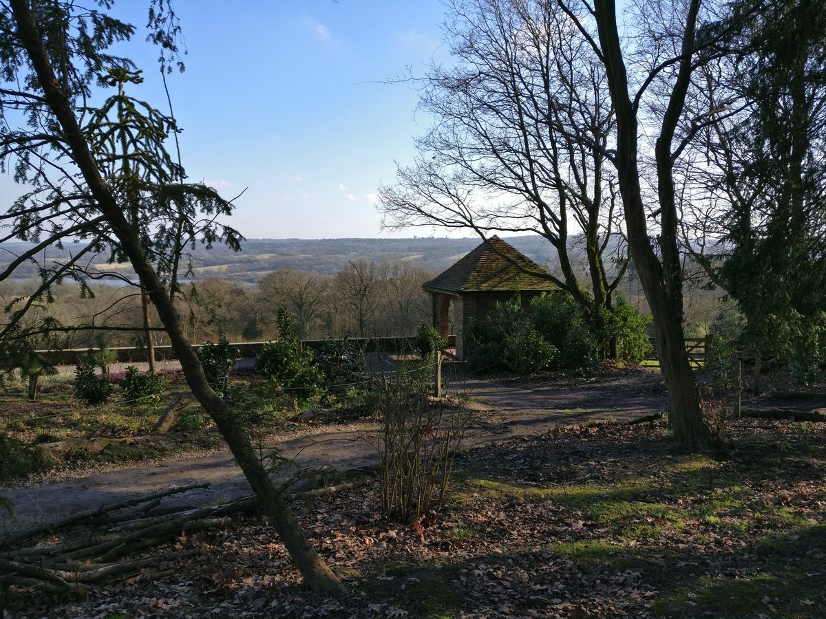 Wintery, sunny landscape