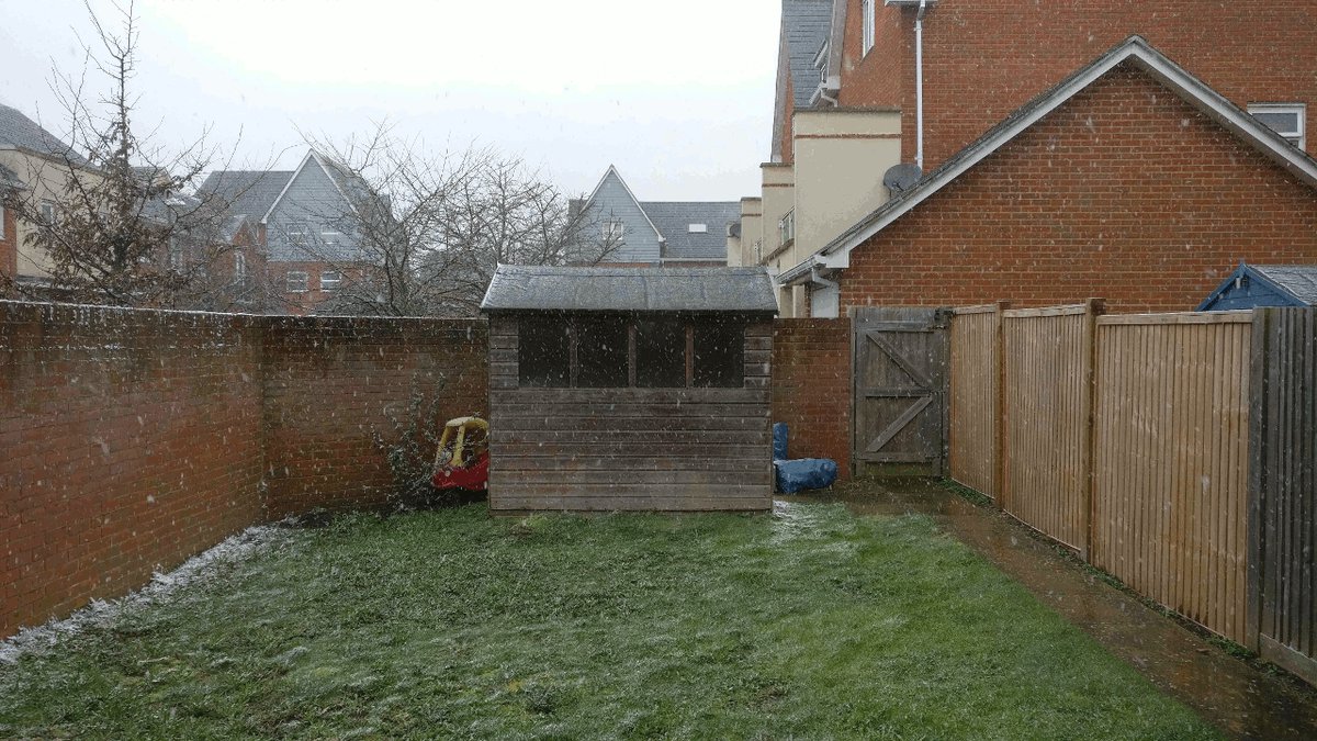 Snowy garden