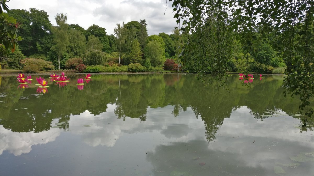 Water reflections