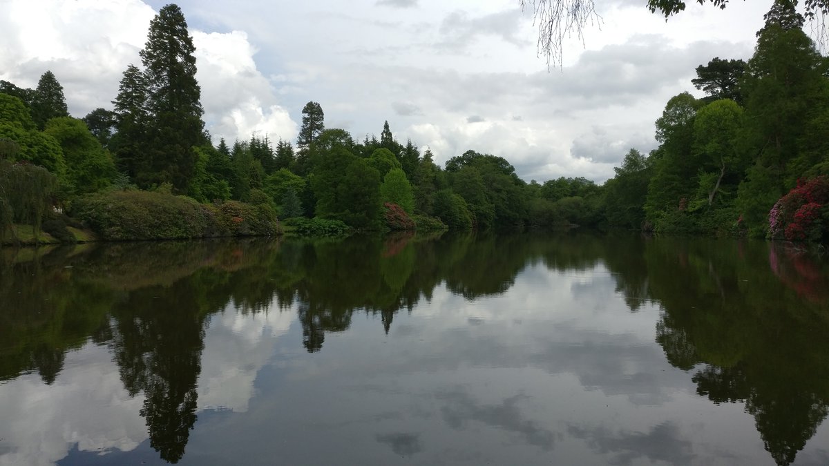 Water reflections