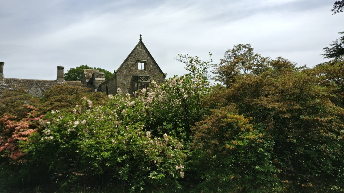 Building ruins behind greenery