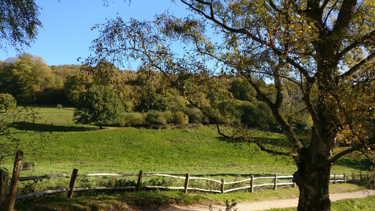 Sunny autumn scene