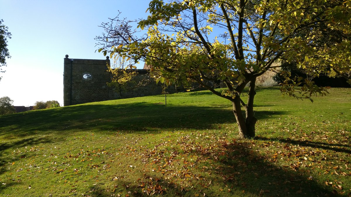 Autumn sun and shadows