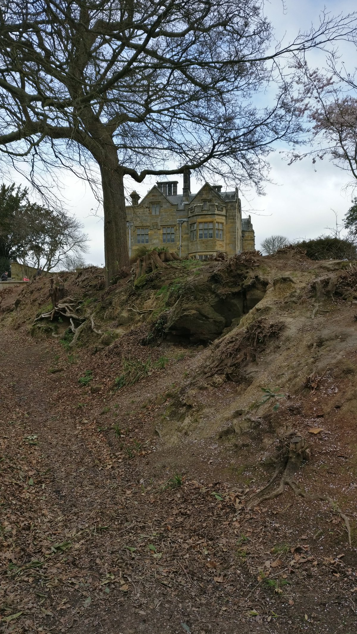 Building above soil bank